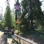 Tankavaara Pericolo Zanzare