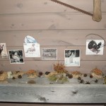 Bacheca con cacche di animali