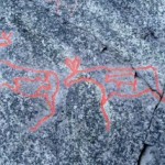 Alce Incinta – Graffiti Rupestri di Alta
