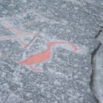Cormorano - Graffito Rupestre di Alta