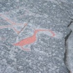 Cormorano – Graffito Rupestre di Alta